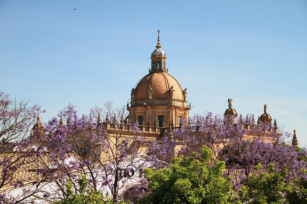 Ambiente festivo de la guía semanal