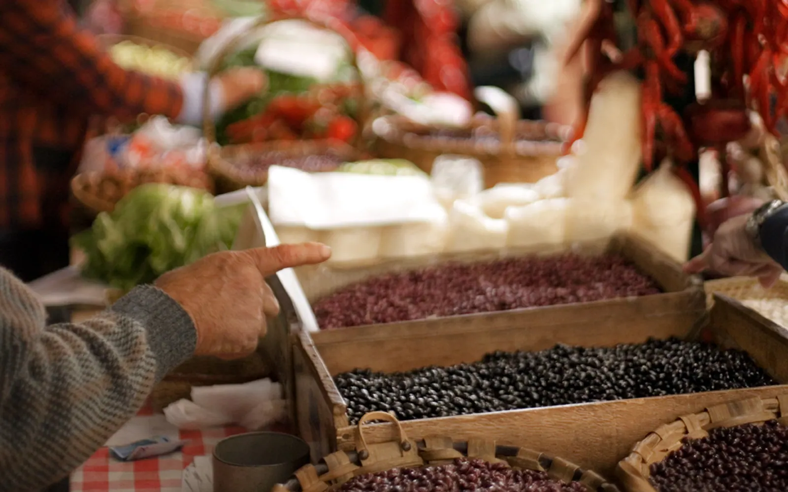 Feria agrícola Último lunes de Octubre de Gernika. Imagen externa: Turespaña / Spain.info.