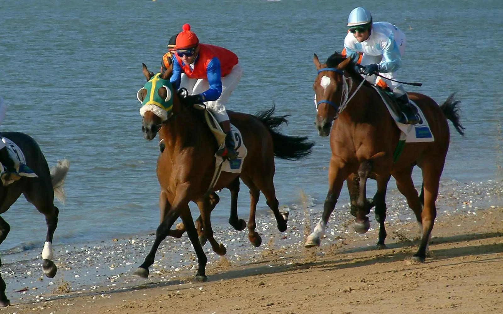 Carreras de caballos en la playa. Imagen externa: Turespaña / Spain.info.