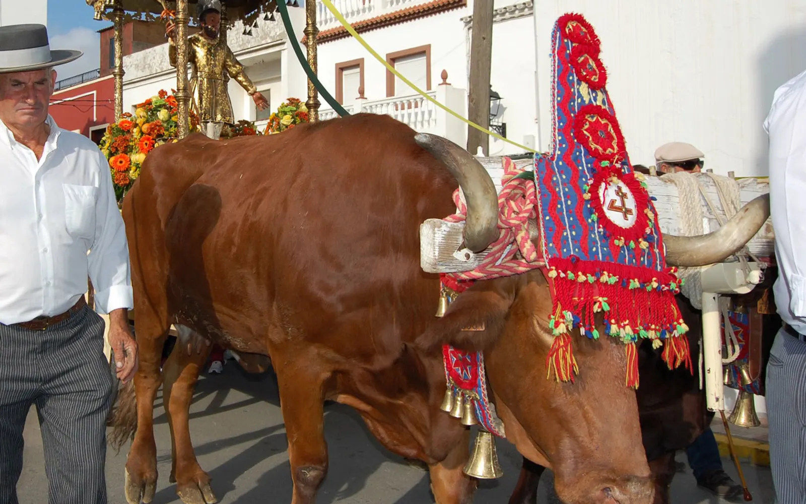 Romería en Honor a San Isidro Labrador, de Los Barrios (Cádiz). Imagen externa: Turespaña / Spain.info.